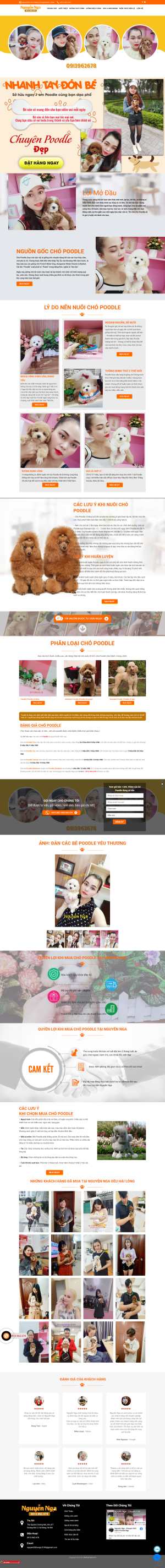 Web bán chó cảnh poodle